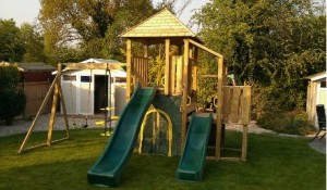 Plum Bison Climbing Frame