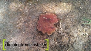 Climbing Frame Installer